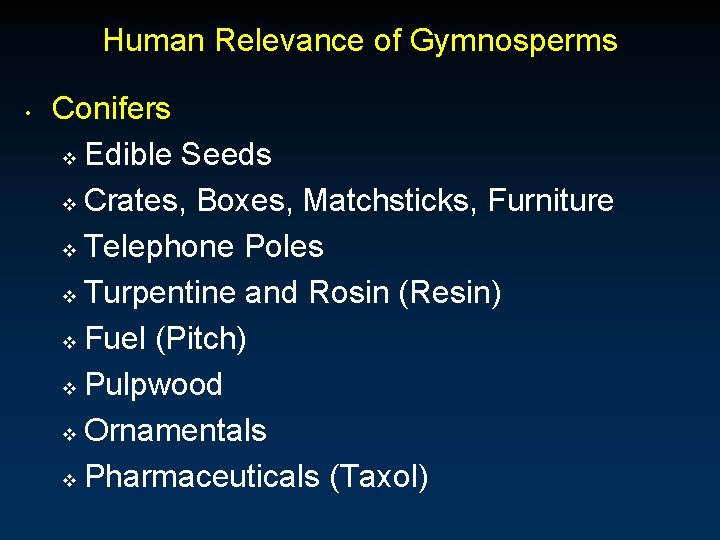 Human Relevance of Gymnosperms • Conifers v Edible Seeds v Crates, Boxes, Matchsticks, Furniture Human Relevance of Gymnosperms • Conifers v Edible Seeds v Crates, Boxes, Matchsticks, Furniture