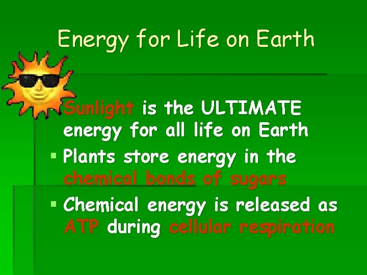 Energy for Life on Earth § Sunlight is the ULTIMATE energy for all life Energy for Life on Earth § Sunlight is the ULTIMATE energy for all life