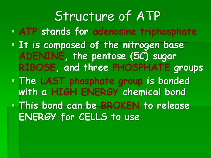 Structure of ATP § ATP stands for adenosine triphosphate § It is composed of Structure of ATP § ATP stands for adenosine triphosphate § It is composed of