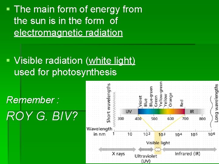 § The main form of energy from the sun is in the form of § The main form of energy from the sun is in the form of