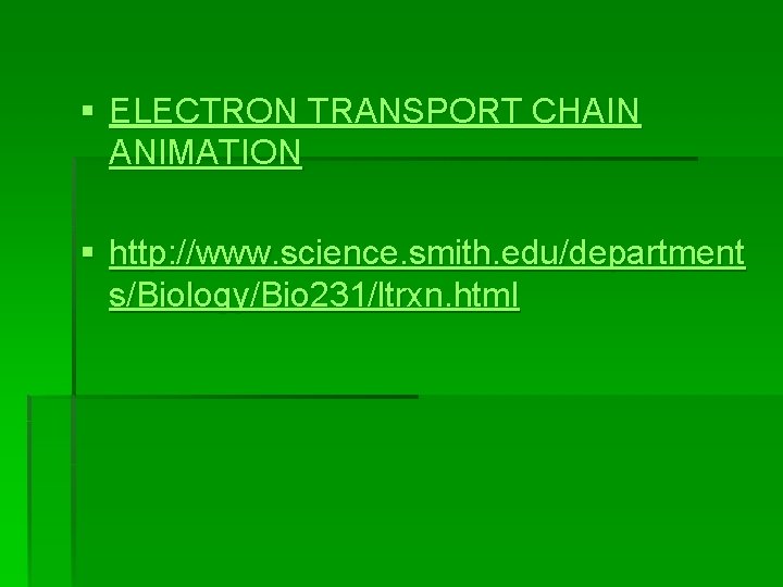 § ELECTRON TRANSPORT CHAIN ANIMATION § http: //www. science. smith. edu/department s/Biology/Bio 231/ltrxn. html § ELECTRON TRANSPORT CHAIN ANIMATION § http: //www. science. smith. edu/department s/Biology/Bio 231/ltrxn. html