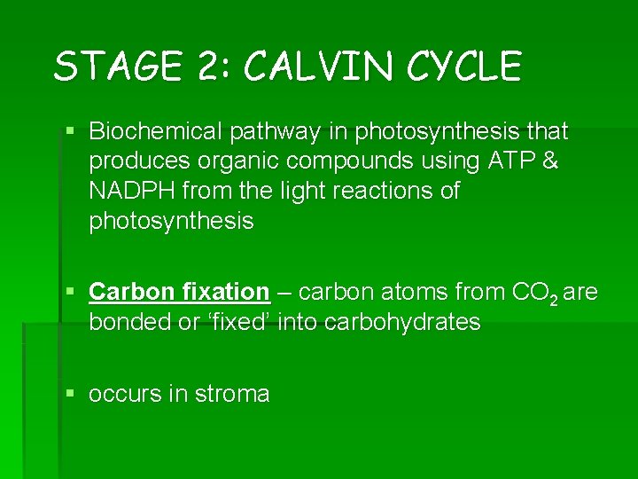 STAGE 2: CALVIN CYCLE § Biochemical pathway in photosynthesis that produces organic compounds using STAGE 2: CALVIN CYCLE § Biochemical pathway in photosynthesis that produces organic compounds using