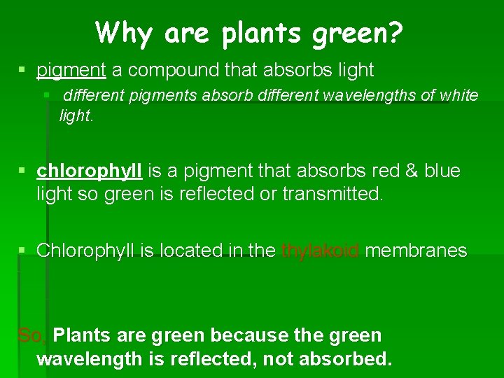 Why are plants green? § pigment a compound that absorbs light § different pigments Why are plants green? § pigment a compound that absorbs light § different pigments