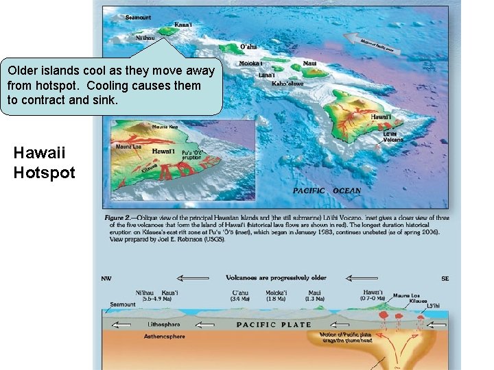 Older islands cool as they move away from hotspot. Cooling causes them to contract