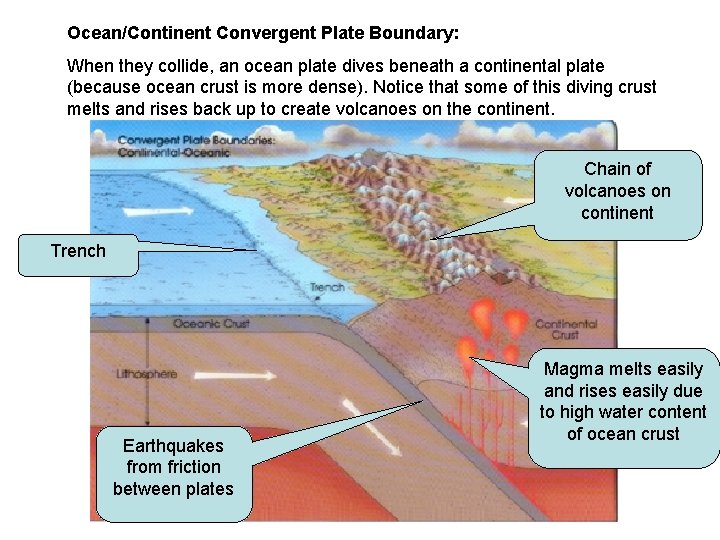 Ocean/Continent Convergent Plate Boundary: When they collide, an ocean plate dives beneath a continental