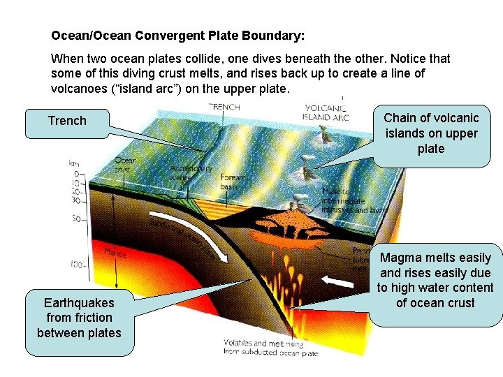 Ocean/Ocean Convergent Plate Boundary: When two ocean plates collide, one dives beneath the other.