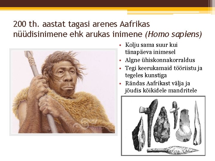 200 th. aastat tagasi arenes Aafrikas nüüdisinimene ehk arukas inimene (Homo sapiens) • Kolju
