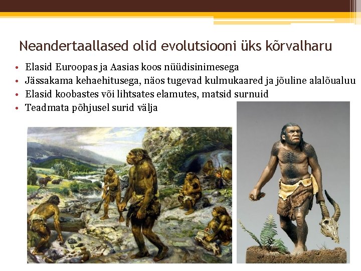 Neandertaallased olid evolutsiooni üks kõrvalharu • • Elasid Euroopas ja Aasias koos nüüdisinimesega Jässakama