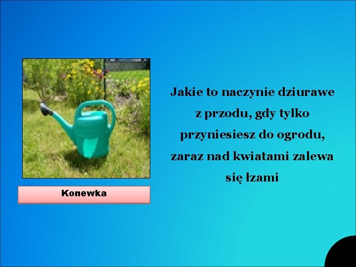 Jakie to naczynie dziurawe z przodu, gdy tylko przyniesiesz do ogrodu, zaraz nad kwiatami