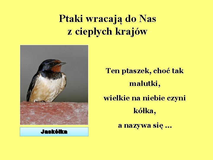 Ptaki wracają do Nas z ciepłych krajów Ten ptaszek, choć tak malutki, wielkie na