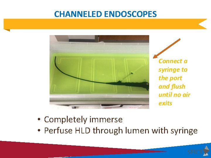 CHANNELED ENDOSCOPES Connect a syringe to the port and flush until no air exits