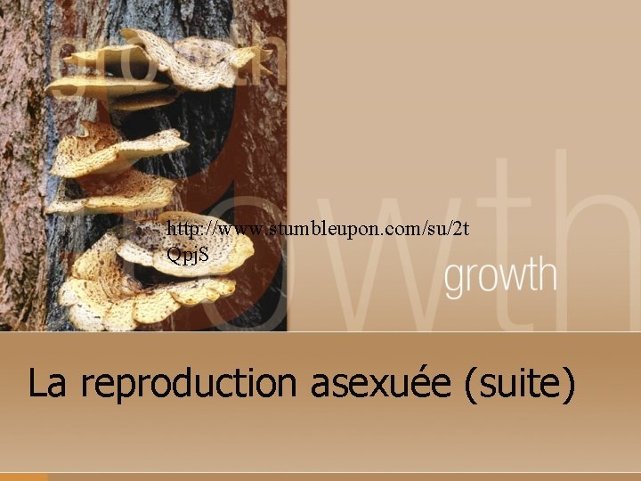 http: //www. stumbleupon. com/su/2 t Qpj. S La reproduction asexuée (suite) 