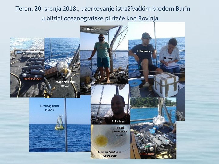 Teren, 20. srpnja 2018. , uzorkovanje istraživačkim brodom Burin u blizini oceanografske plutače kod