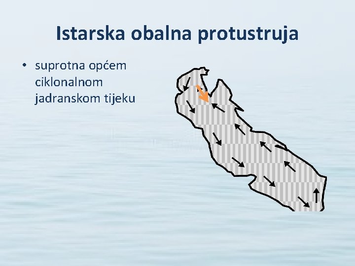 Istarska obalna protustruja • suprotna općem ciklonalnom jadranskom tijeku 