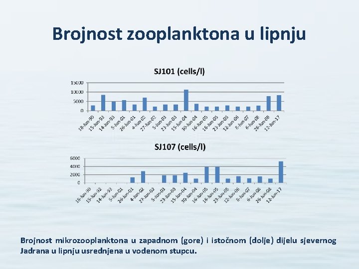 Brojnost zooplanktona u lipnju Brojnost mikrozooplanktona u zapadnom (gore) i istočnom (dolje) dijelu sjevernog