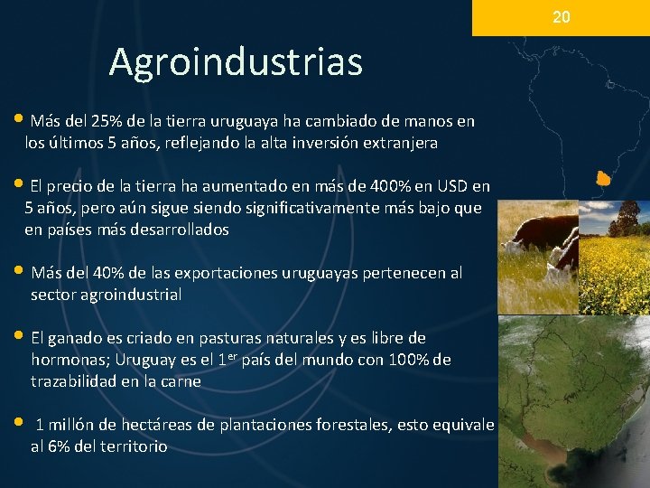 20 Agroindustrias • Más del 25% de la tierra uruguaya ha cambiado de manos 20 Agroindustrias • Más del 25% de la tierra uruguaya ha cambiado de manos