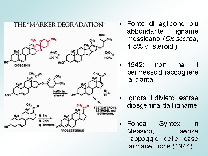  • Fonte di aglicone più abbondante igname messicano (Dioscorea, 4 -8% di steroidi)