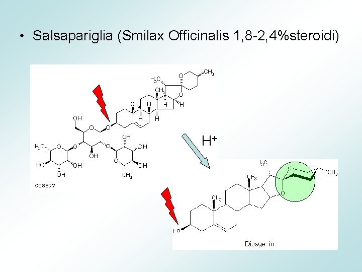  • Salsapariglia (Smilax Officinalis 1, 8 -2, 4%steroidi) H+ 