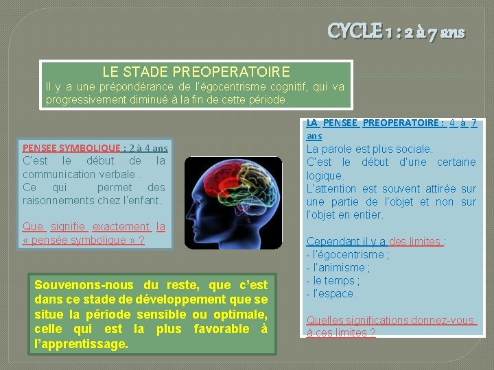 CYCLE 1 : 2 à 7 ans LE STADE PREOPERATOIRE Il y a une