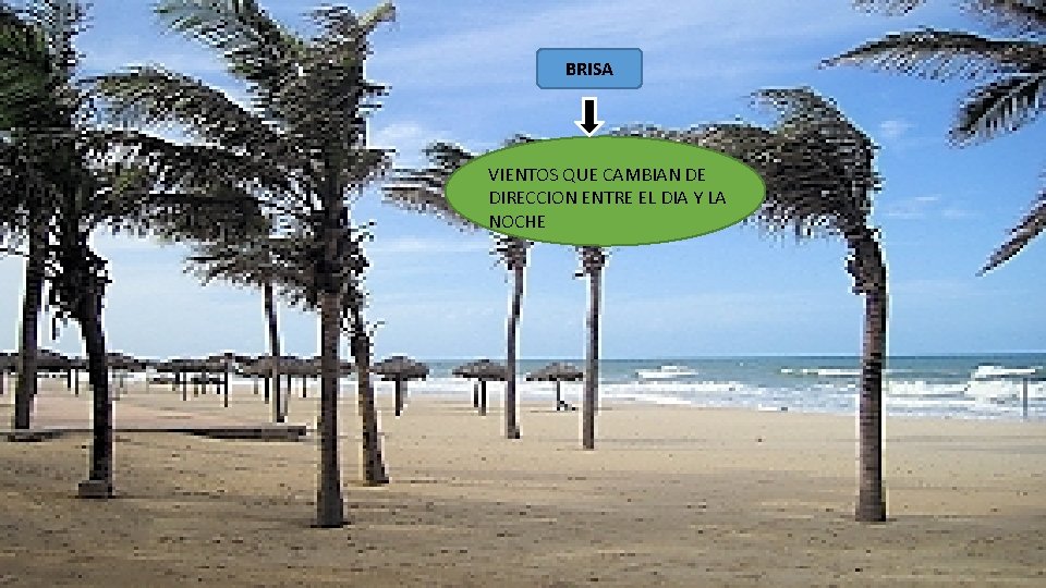 BRISA VIENTOS QUE CAMBIAN DE DIRECCION ENTRE EL DIA Y LA NOCHE 