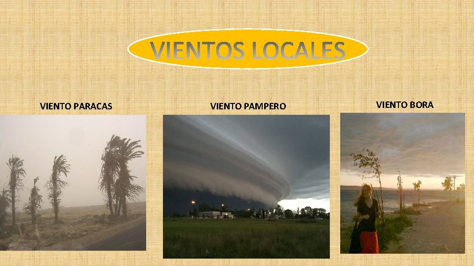 VIENTO PARACAS VIENTO PAMPERO VIENTO BORA 