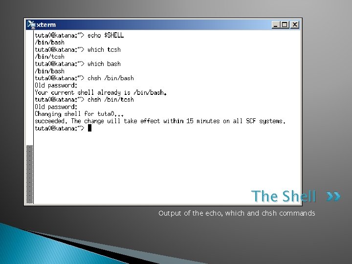 The Shell Output of the echo, which and chsh commands 