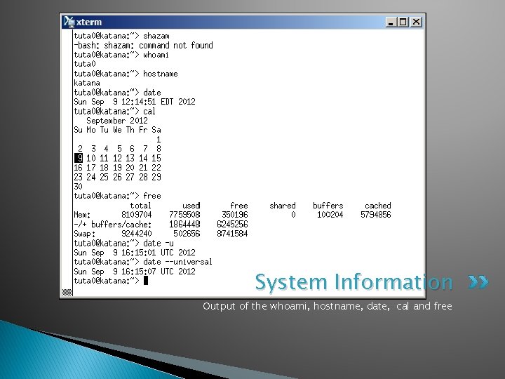 System Information Output of the whoami, hostname, date, cal and free 