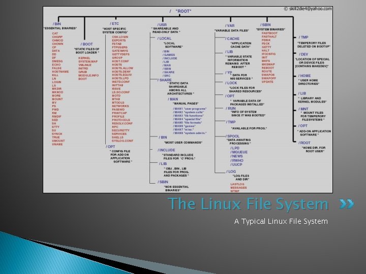 The Linux File System A Typical Linux File System 