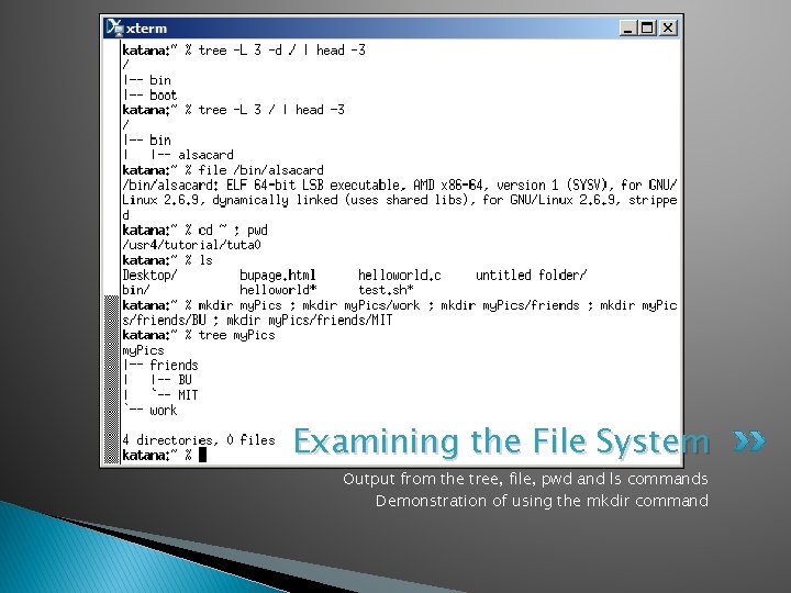 Examining the File System Output from the tree, file, pwd and ls commands Demonstration