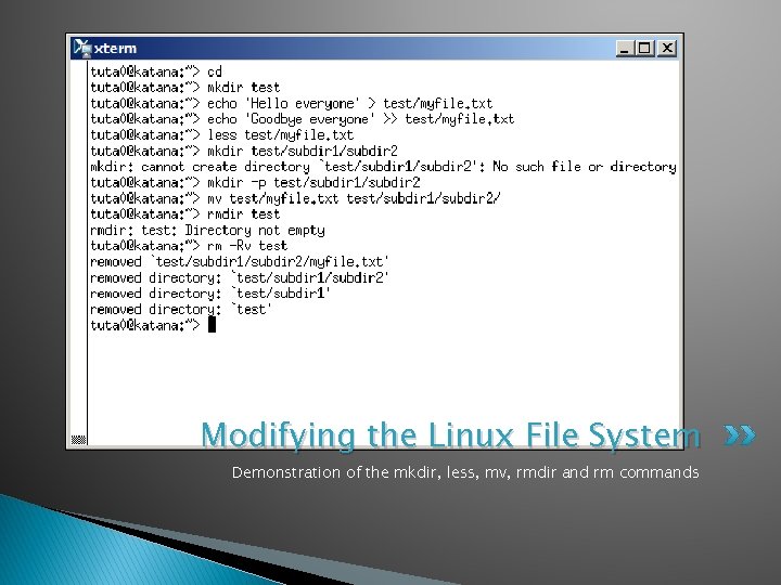 Modifying the Linux File System Demonstration of the mkdir, less, mv, rmdir and rm