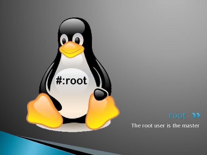 root The root user is the master 