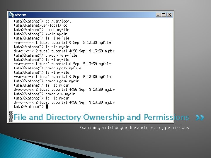 File and Directory Ownership and Permissions Examining and changing file and directory permissions 