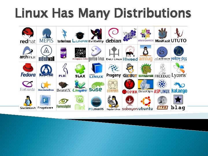 Linux Has Many Distributions 