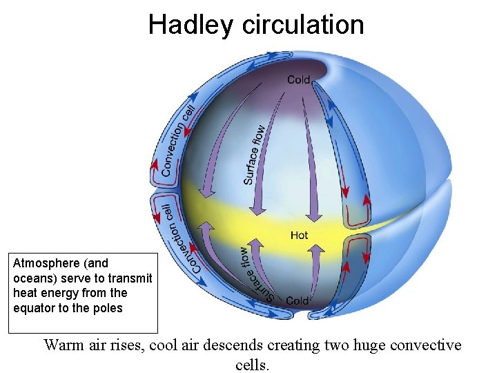 Hadley circulation Atmosphere (and oceans) serve to transmit heat energy from the equator to