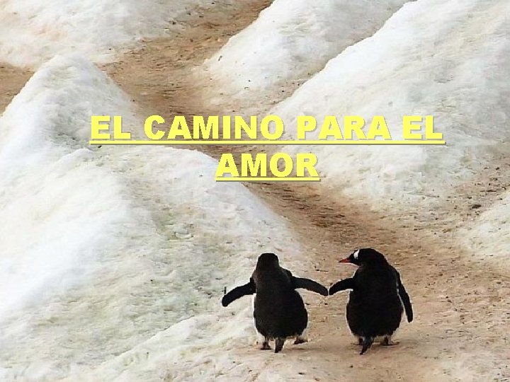 EL CAMINO PARA EL AMOR 