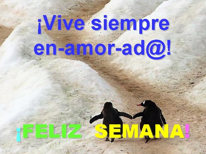 ¡Vive siempre en-amor-ad@! ¡FELIZ SEMANA! 