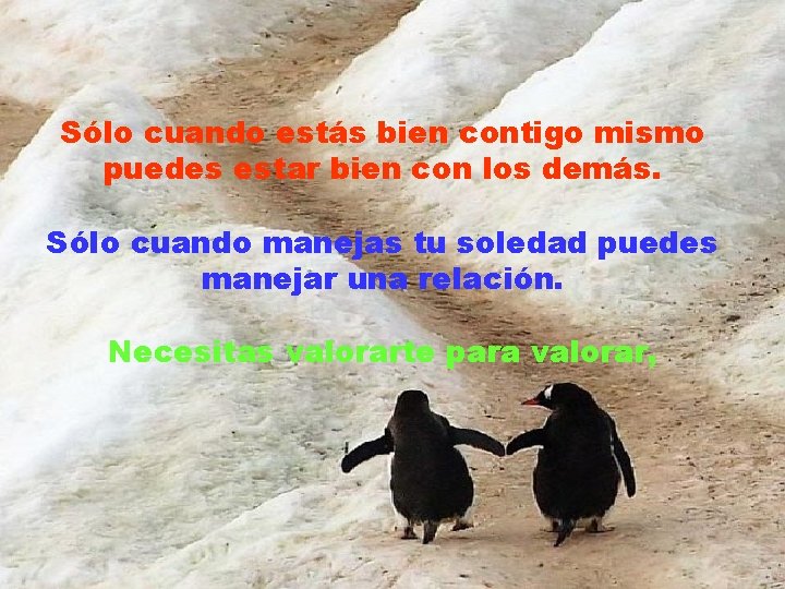 Sólo cuando estás bien contigo mismo puedes estar bien con los demás. Sólo cuando