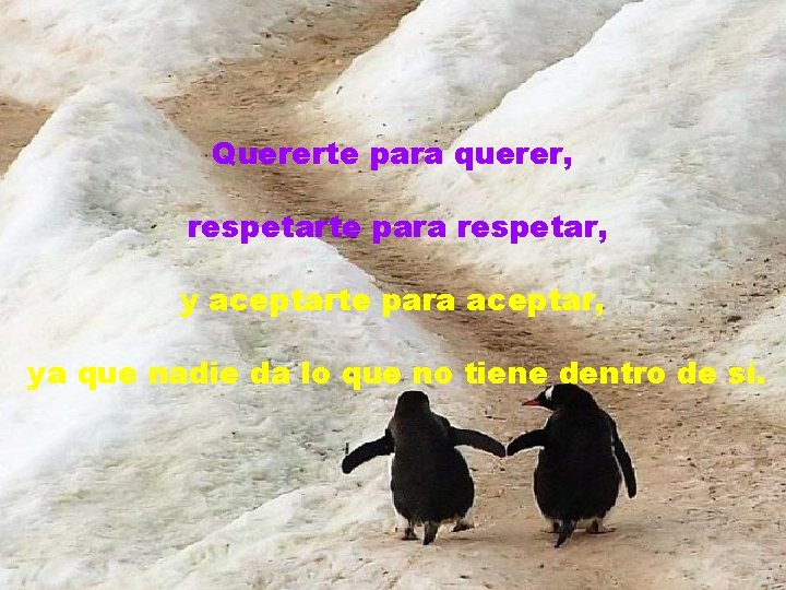 Quererte para querer, respetarte para respetar, y aceptarte para aceptar, ya que nadie da