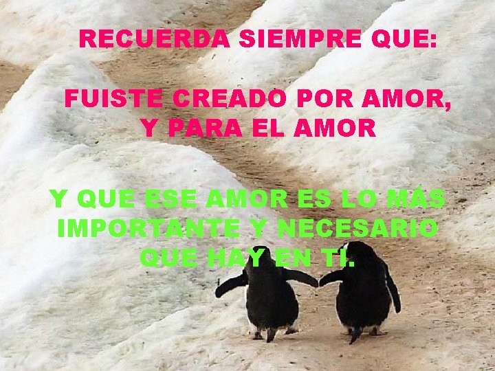 RECUERDA SIEMPRE QUE: FUISTE CREADO POR AMOR, Y PARA EL AMOR Y QUE ESE