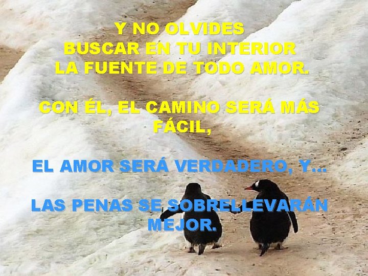 Y NO OLVIDES BUSCAR EN TU INTERIOR LA FUENTE DE TODO AMOR. CON ÉL,