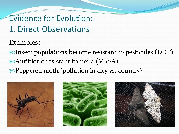 Evidence for Evolution: 1. Direct Observations Examples: Insect populations become resistant to pesticides (DDT)
