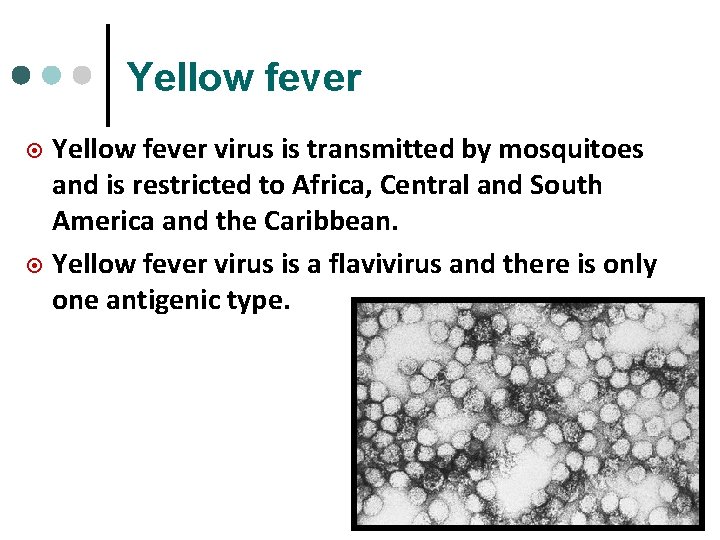 Yellow fever virus is transmitted by mosquitoes and is restricted to Africa, Central and