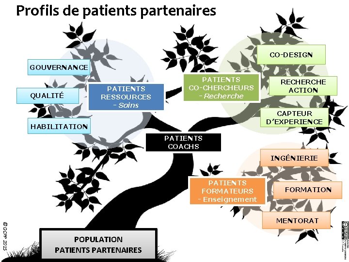 Profils de patients partenaires CO-DESIGN GOUVERNANCE QUALITÉ PATIENTS RESSOURCES - Soins PATIENTS CO-CHERCHEURS -