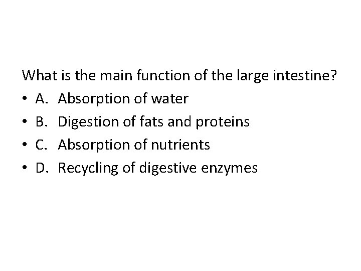 What is the main function of the large intestine? • A. Absorption of water