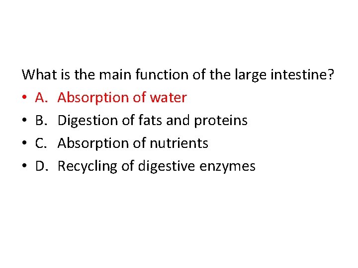 What is the main function of the large intestine? • A. Absorption of water