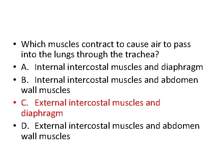  • Which muscles contract to cause air to pass into the lungs through