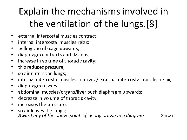 Explain the mechanisms involved in the ventilation of the lungs. [8] • • •