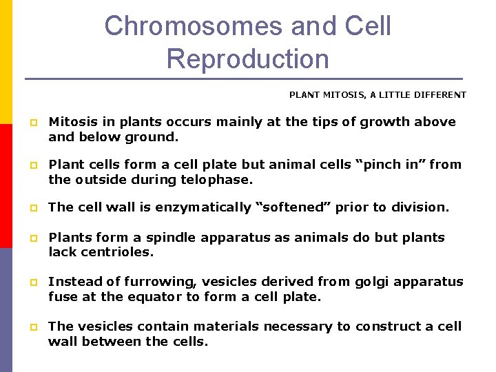Chromosomes and Cell Reproduction PLANT MITOSIS, A LITTLE DIFFERENT p Mitosis in plants occurs