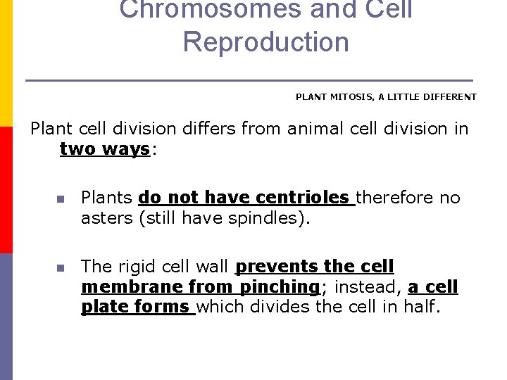 Chromosomes and Cell Reproduction PLANT MITOSIS, A LITTLE DIFFERENT Plant cell division differs from