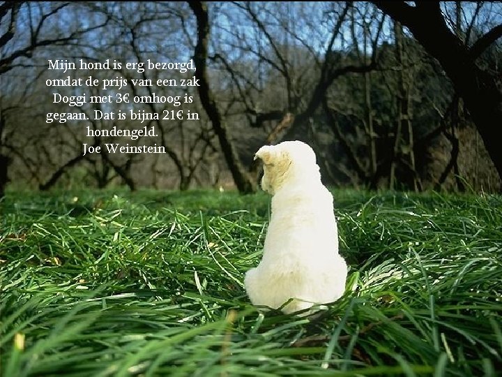 Mijn hond is erg bezorgd, omdat de prijs van een zak Doggi met 3€